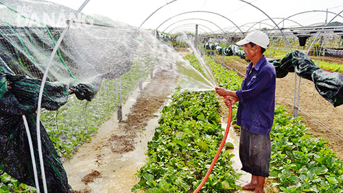 Distrito Hoa Vang, ciudad Da Nang, un ejemplo en la construcción del nuevo campo